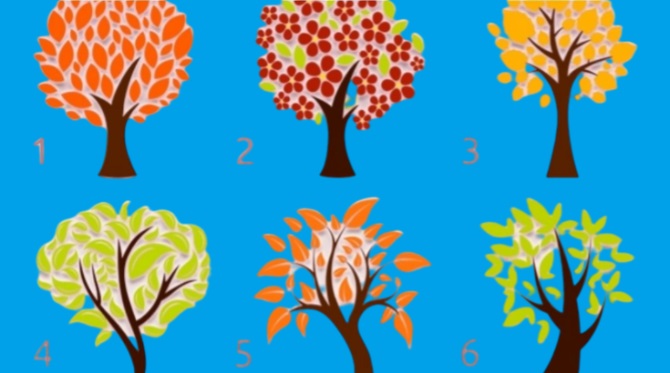 Odaberite jedno drvo sa ilustracije i saznajte nešto novo o sebi: Test ličnosti koji može mnogo da otkrije