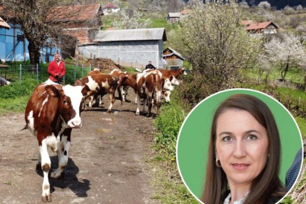 Odmor u BiH: Jakuzzi i sauna usred sela, pa još i kravu pomuzeš
