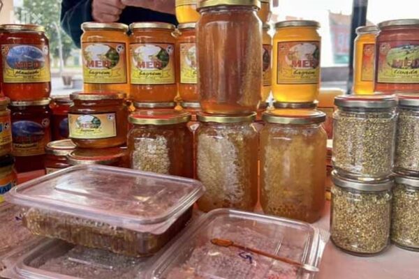 Klimatske promjene i nedostatak poticaja ugrožavaju pčelarstvo u Hercegovini
