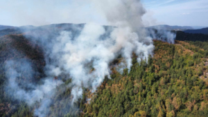 Dar sa neba: Kiša pomogla u gašenju požara kod Maglaja