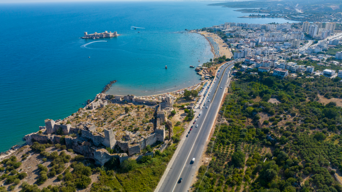 251113101.10_xxl (1)