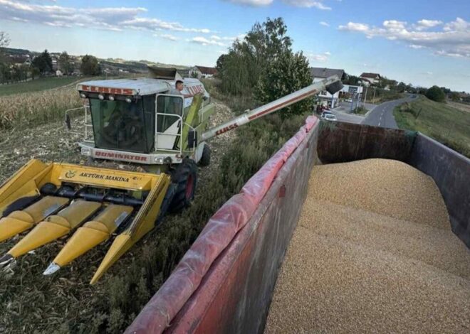 U Austriji lijepo, ali svoje selo je svoje: Darko se vraća na rodnu grudu u BiH