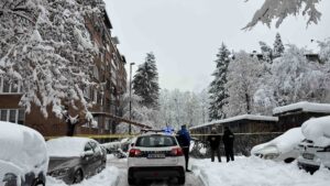 Snijeg izazvao ogromne probleme u BiH, žena preminula nakon što je stablo palo na nju