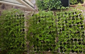 Počela sjetva, a stigao snijeg: Hoće li sezona biti ugrožena?