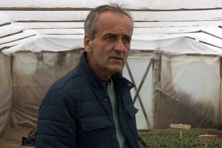 Od plastenika se može živjeti: Duško iz Prnjavora proizveo 25.000 sadnica