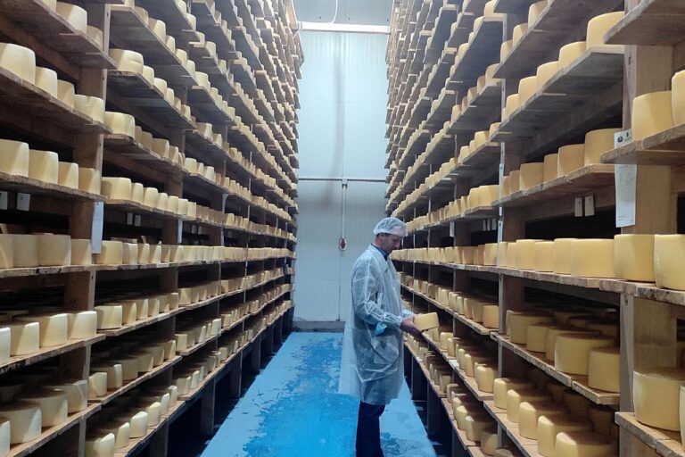 BiH čuva svoje okuse: 20 domaćih proizvoda pod zaštitom, među njima i livanjski sir