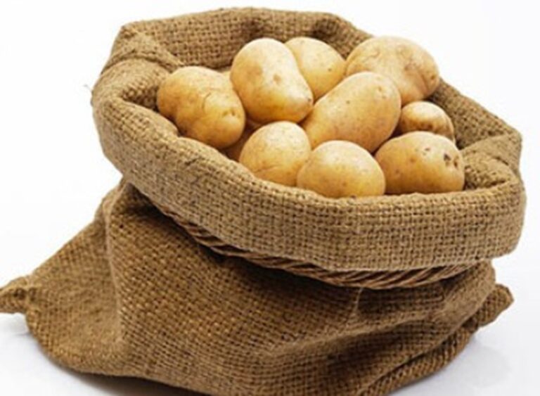 VELIKI PROJEKAT U BIH: Rogatica dobija pogon koji mijenja poljoprivredu!