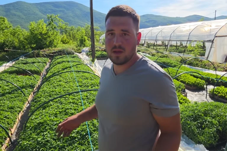 Odbio otići iz BiH, dao otkaz i izgradio posao sa 150.000 sadnica (VIDEO)
