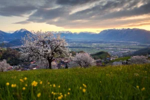 Kiša, pljuskovi i grmljavina: Najavljen i snijeg na planinama