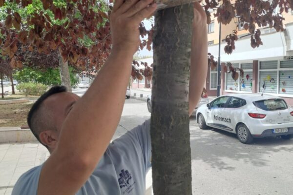 Lijepa priča iz Sarajeva: Zbog velikih vrućina JP LOKOM postavlja vodu i hranu za pse, mačke i ptice