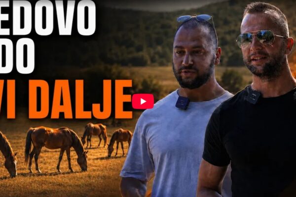 Hercegovački inat jači od svega: Braća od jednog konja napravili ergelu rijetke bosanske pasmine