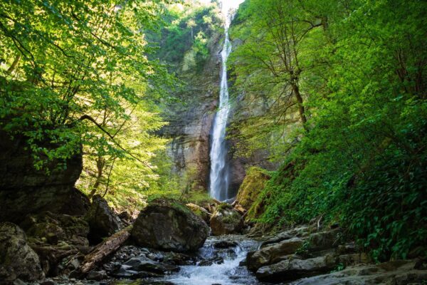 Evropa je gotovo ostala bez njih, BiH još ima svoju: Pogledajte jednu od posljednjih prašuma kontinenta