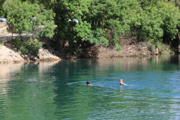 Ljepotica iz BiH među najboljima u Evropi: Kravice zauzele visoko 7. mjesto