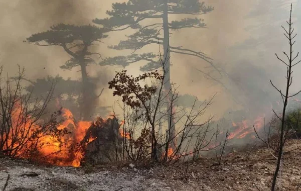 Gori kod Konjica: Vatra ide prema Džepskoj planini, stižu Air Tractor i Oružane snage