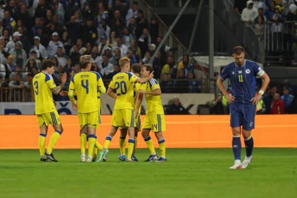 Edin Džeko